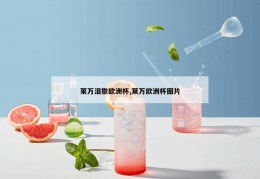 莱万泪撒欧洲杯,莱万欧洲杯图片