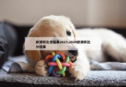 欧洲杯比分结果2023,2020欧洲杯比分结果