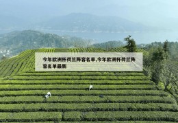 今年欧洲杯荷兰阵容名单,今年欧洲杯荷兰阵容名单最新