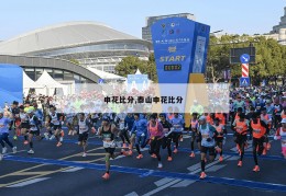 申花比分,泰山申花比分