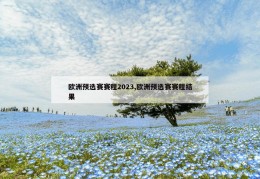 欧洲预选赛赛程2023,欧洲预选赛赛程结果