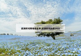 欧洲杯对阵场地名单,欧洲杯对战表2021