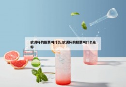 欧洲杯的股票叫什么,欧洲杯的股票叫什么名称