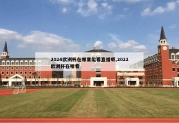 2024欧洲杯在哪里能看直播呢,2022欧洲杯在哪看