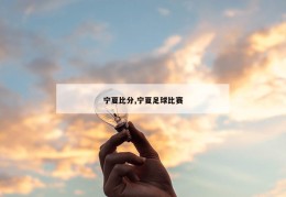 宁夏比分,宁夏足球比赛