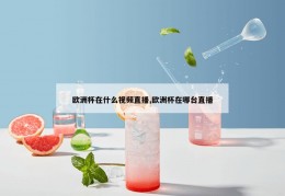 欧洲杯在什么视频直播,欧洲杯在哪台直播