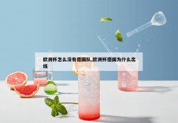 欧洲杯怎么没有德国队,欧洲杯德国为什么出线