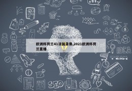 欧洲杯荷兰41法国录像,2021欧洲杯荷兰直播