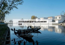 2024年欧洲杯直播平台,2024欧洲杯在哪