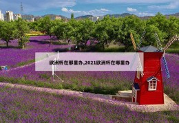 欧洲杯在那里办,2021欧洲杯在哪里办