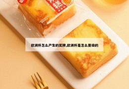 欧洲杯怎么产生的奖牌,欧洲杯是怎么晋级的