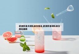 欧洲杯各大球队身价排名,欧洲杯各球队身价排名最新