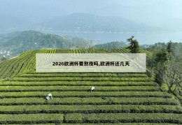 2026欧洲杯要熬夜吗,欧洲杯还几天