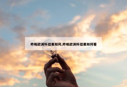 昨晚欧洲杯结果如何,昨晚欧洲杯结果如何看